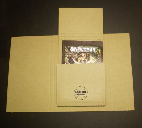 100 GEMINI COMIC BOOK FLASH MAILERS - Image 2