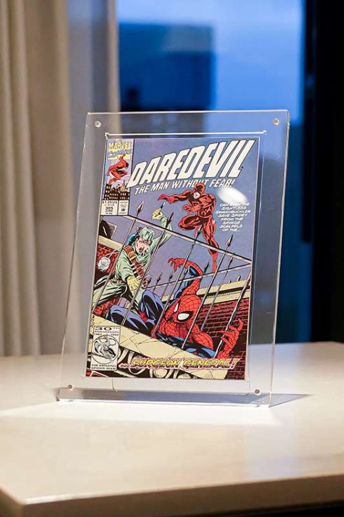 Contemporary Series: Comic Book Display Frame